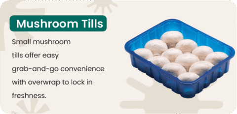 6 mashroom tills (1)